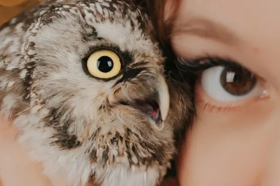 VegasWild Kasino Tuki